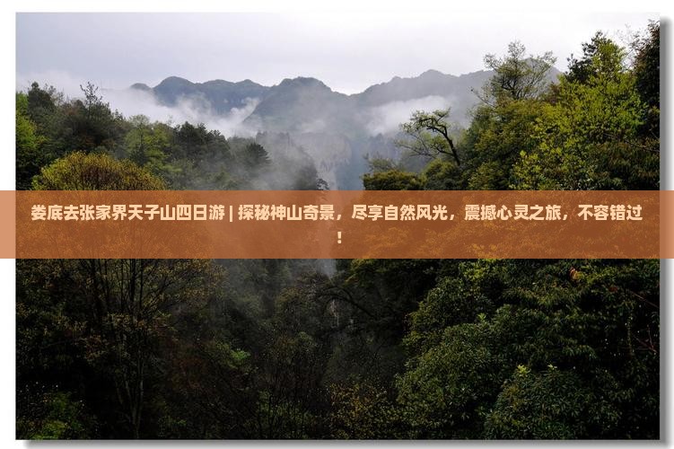 娄底去张家界天子山四日游