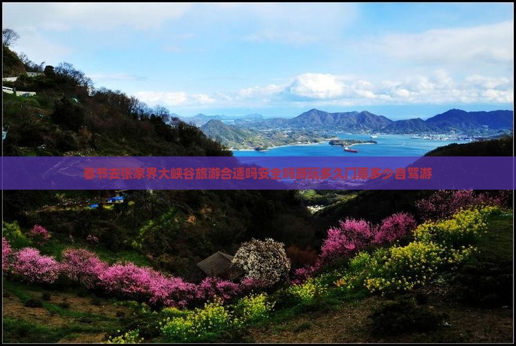 春节去张家界大峡谷旅游