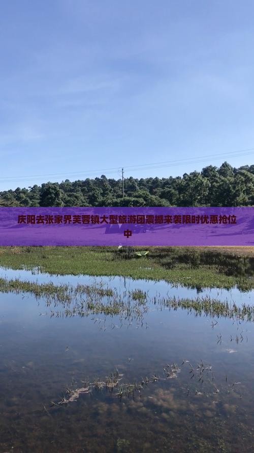 庆阳去张家界芙蓉镇大型旅游团