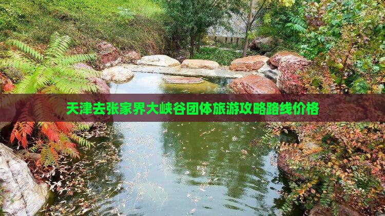 天津去张家界大峡谷团体旅游