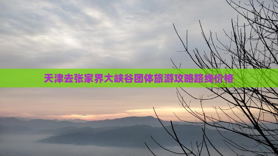 天津去张家界大峡谷团体旅游
