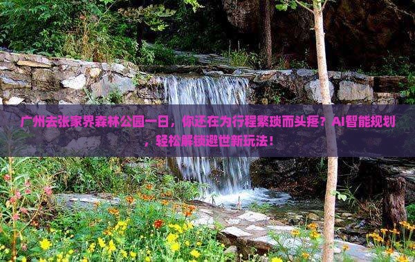 广州去张家界森林公园一日