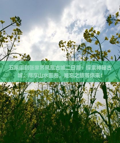 五家渠到张家界凤凰古城二日游