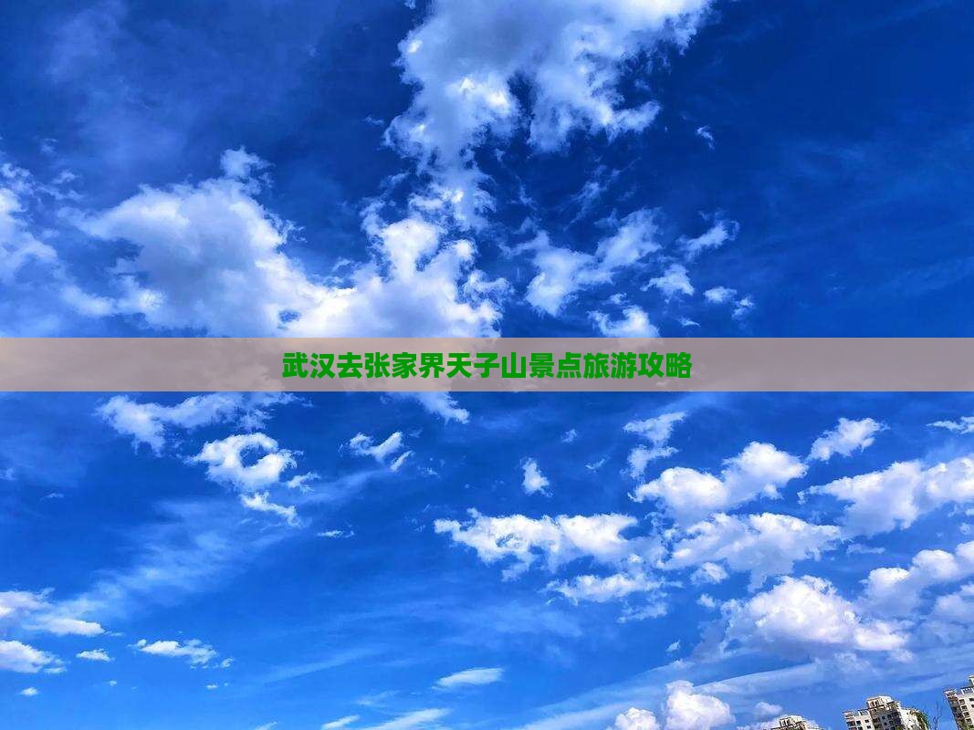 武汉去张家界天子山景点