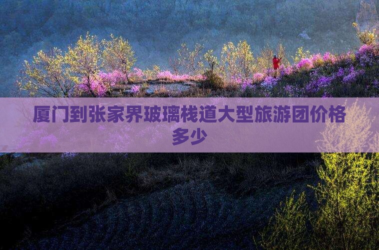 厦门到张家界玻璃栈道大型旅游团