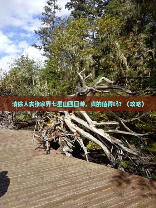 清徐去张家界七星山四日游