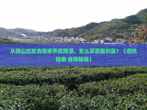 保山去张家界武陵源门票