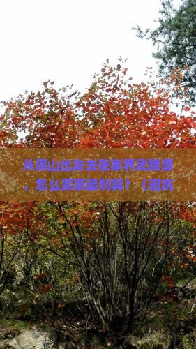 保山去张家界武陵源门票