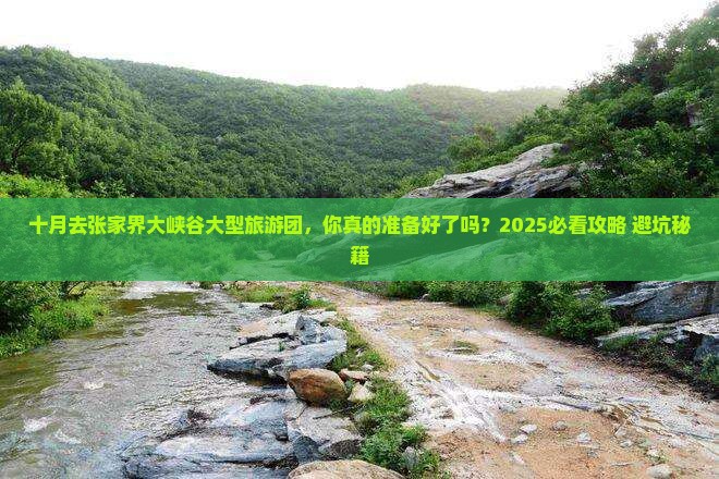 十月去张家界大峡谷大型旅游团