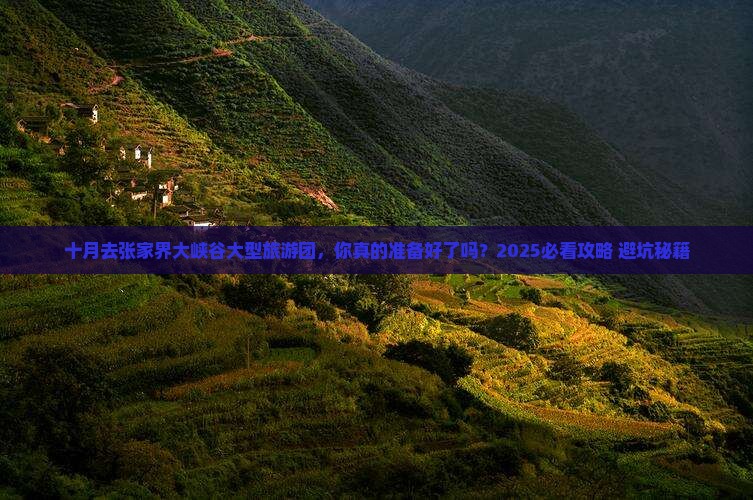 十月去张家界大峡谷大型旅游团