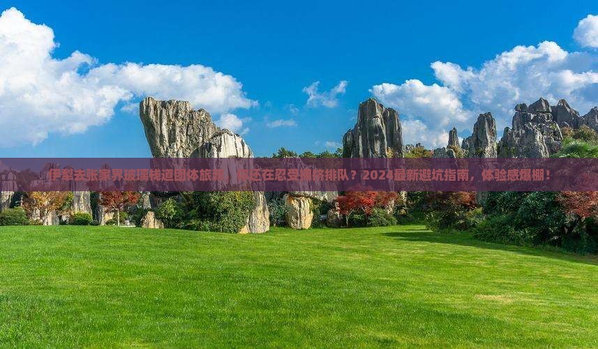 伊犁去张家界玻璃栈道团体旅游
