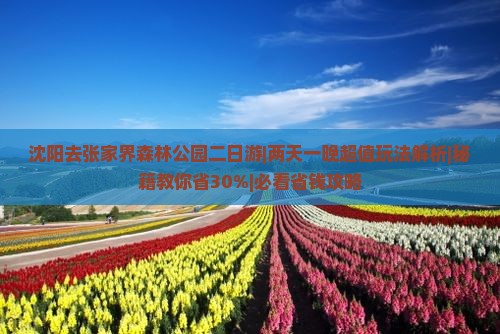 沈阳去张家界森林公园二日游