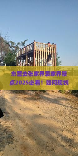 东营去张家界袁家界景点