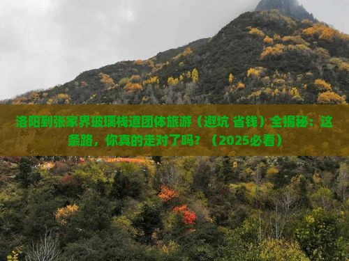 洛阳到张家界玻璃栈道团体旅游