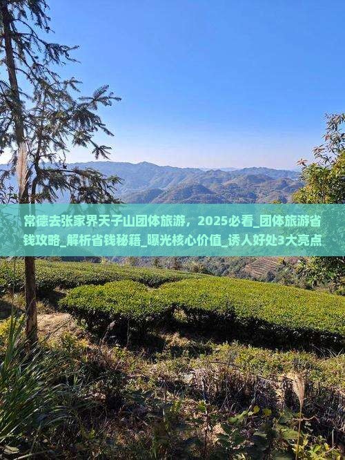 常德去张家界天子山团体旅游