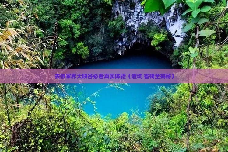 青岛去张家界大峡谷旅行社