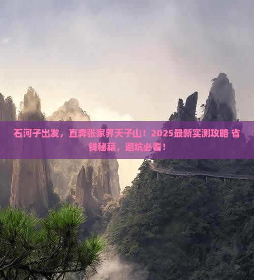 石河子去张家界天子山景点
