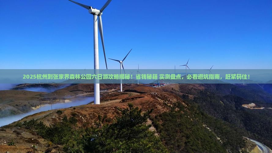 杭州到张家界森林公园六日游