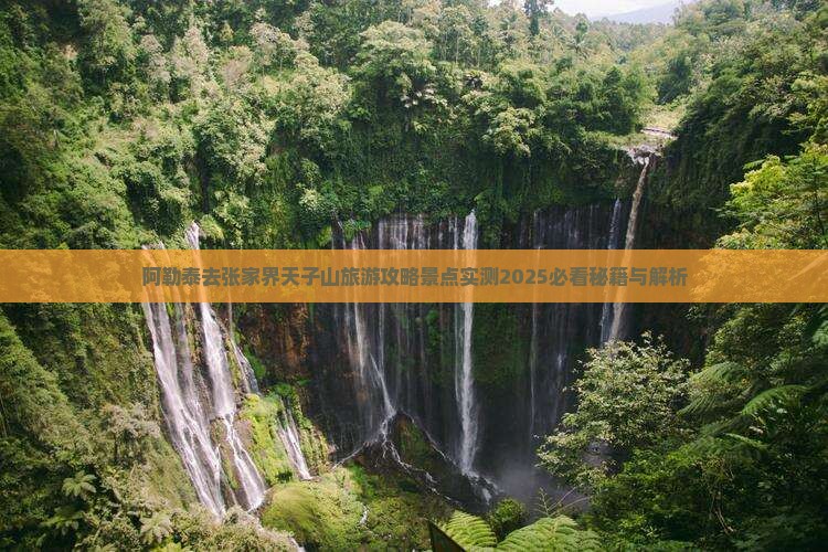 阿勒泰去张家界天子山哪里玩