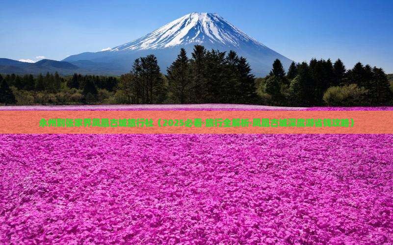 永州到张家界凤凰古城旅行社