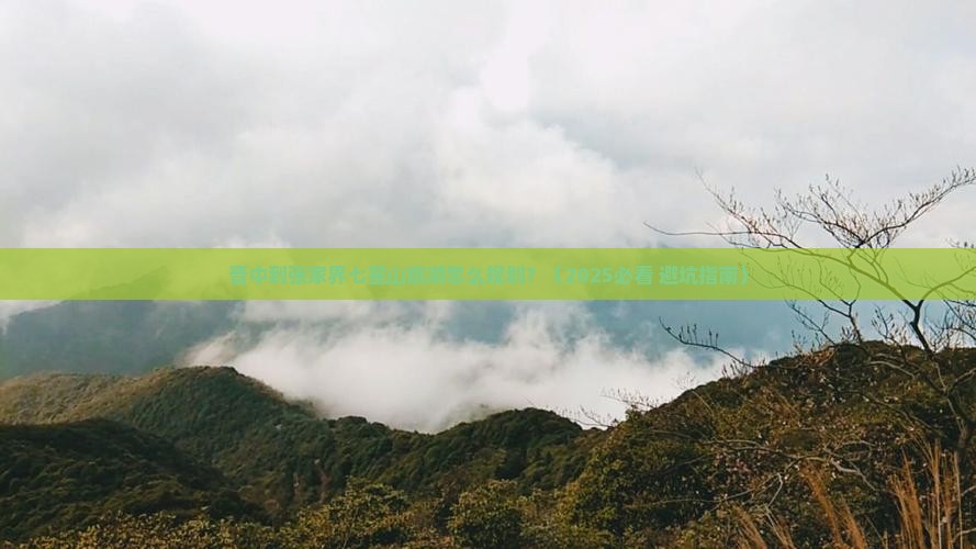 晋中到张家界七星山旅行社 晋中到张家界七星山旅行社