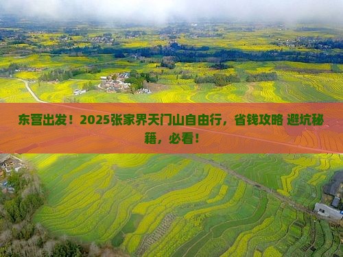 东营去张家界天门山自由行
