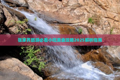 汉中去张家界大峡谷旅游小吃