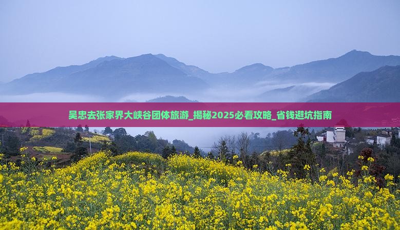 吴忠去张家界大峡谷团体旅游