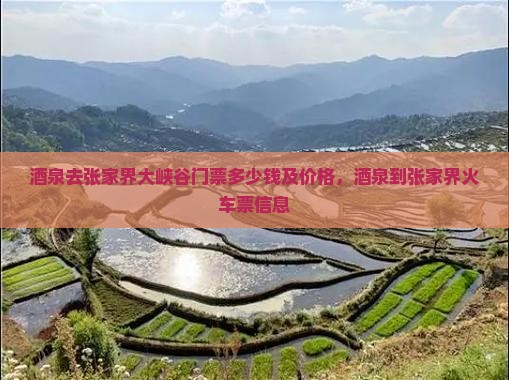 酒泉去张家界大峡谷门票