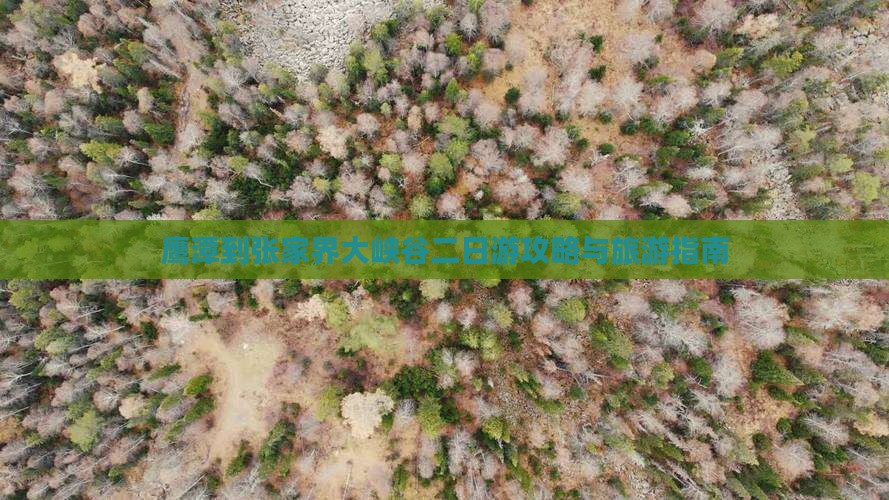 鹰潭到张家界大峡谷二日游