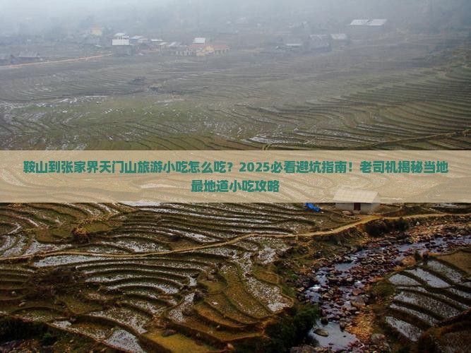 鞍山到张家界天门山旅游小吃