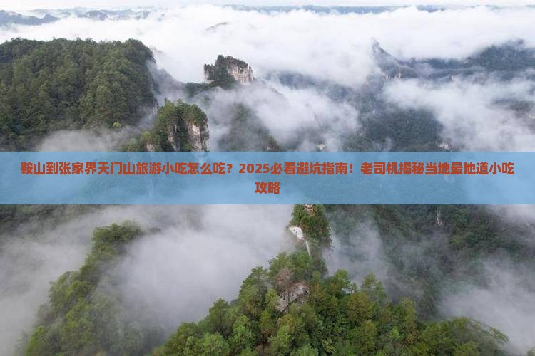 鞍山到张家界天门山旅游小吃