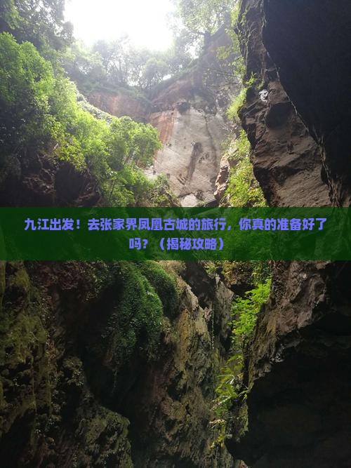 九江到张家界凤凰古城大型旅游团
