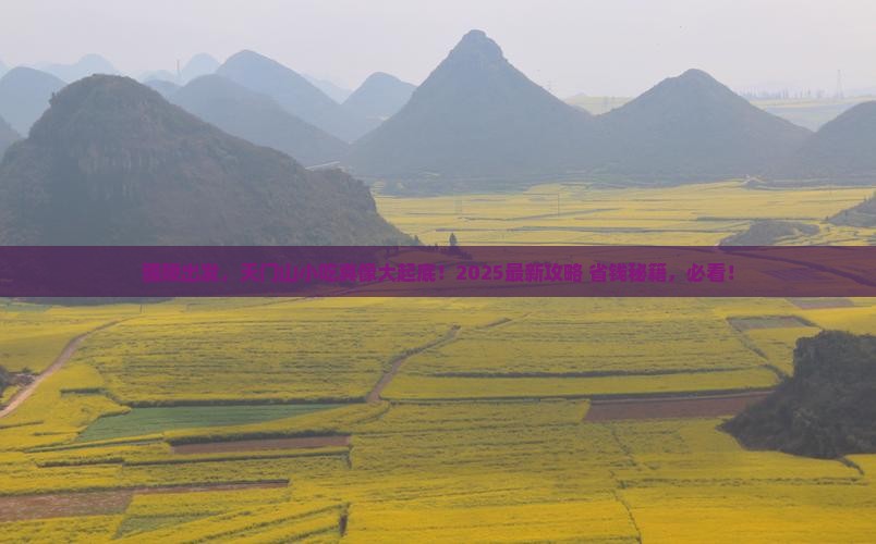 醴陵到张家界天门山旅游小吃