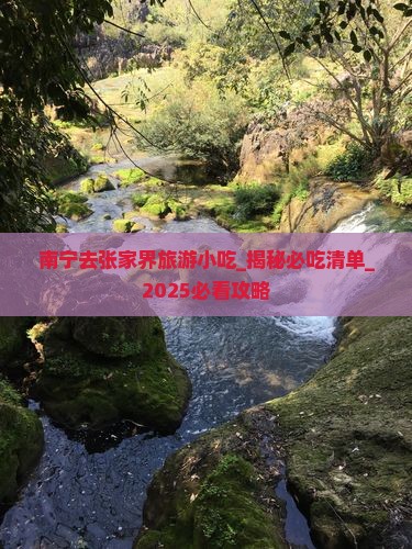 南宁去张家界旅游小吃