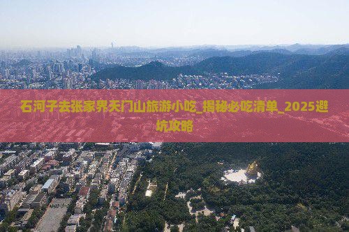 石河子去张家界天门山旅游小吃