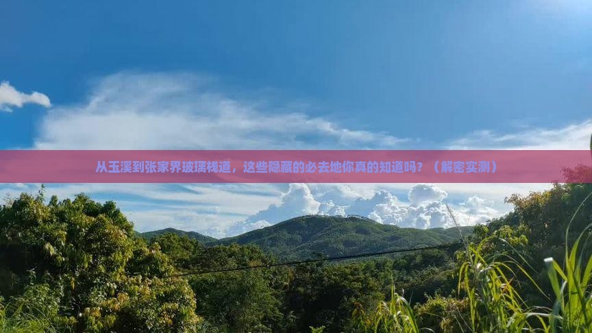 玉溪去张家界玻璃栈道必去地