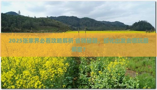 绥化去张家界哪里玩