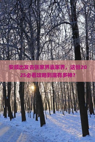 安顺去张家界袁家界团体旅游