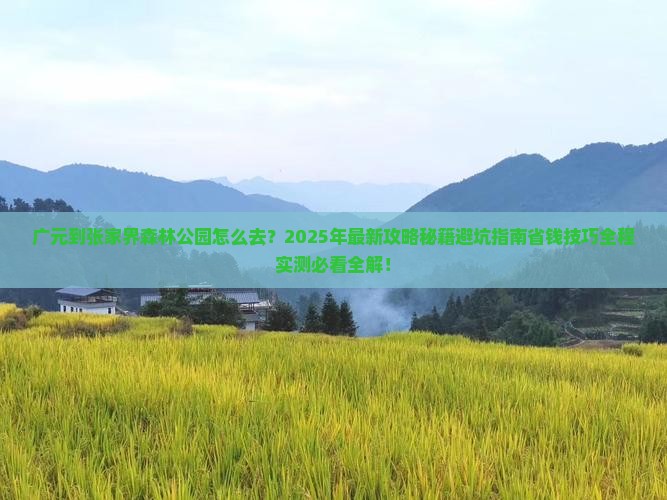 广元到张家界森林公园旅游