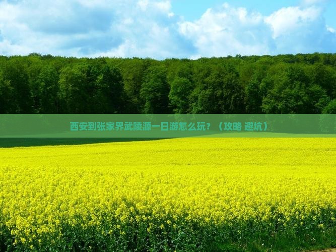 西安到张家界武陵源一日