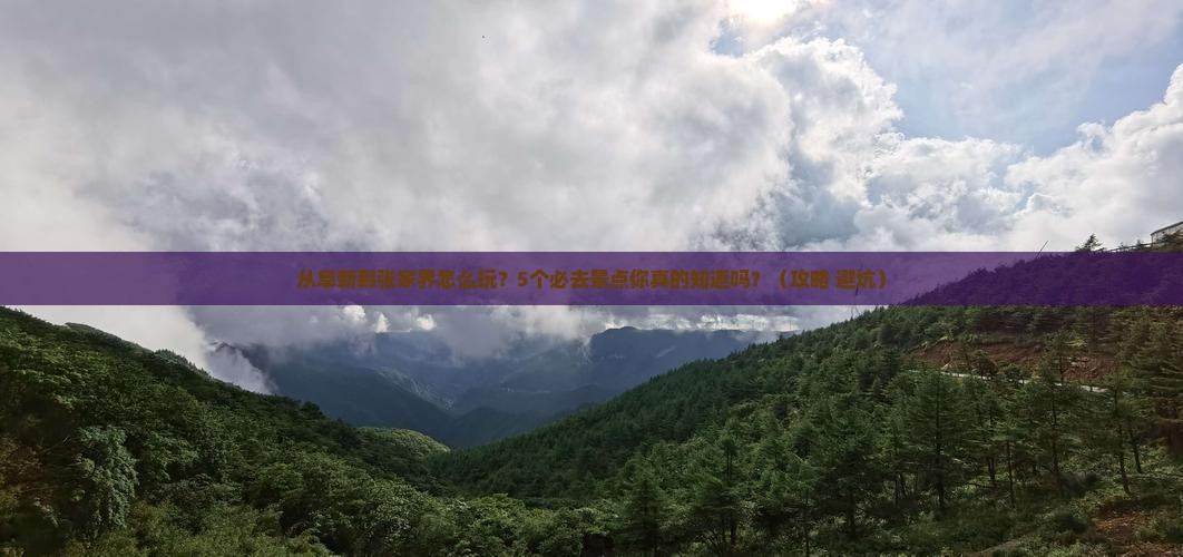 阜新去张家界景点
