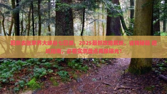 阳泉去张家界大峡谷七日游
