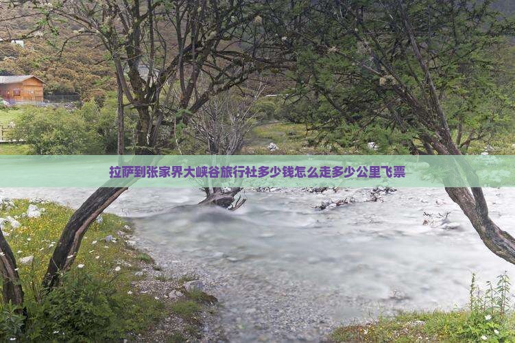 拉萨到张家界大峡谷旅行社