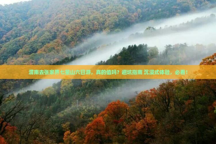 渭南去张家界七星山六日游