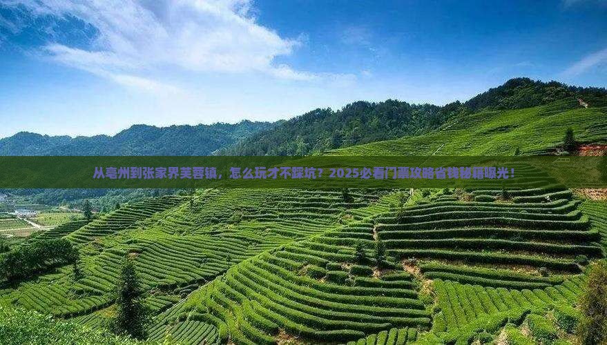 亳州到张家界芙蓉镇门票