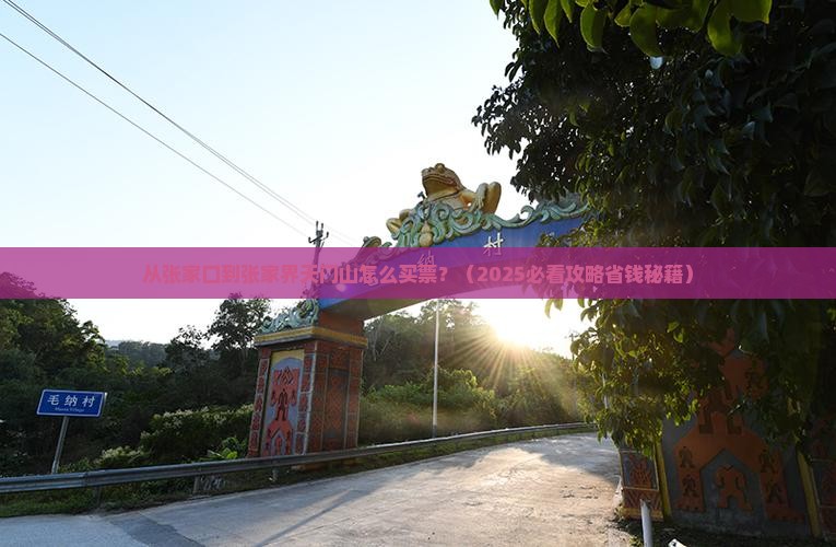 张家口去张家界天门山门票