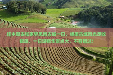 佳木斯去张家界凤凰古城一日