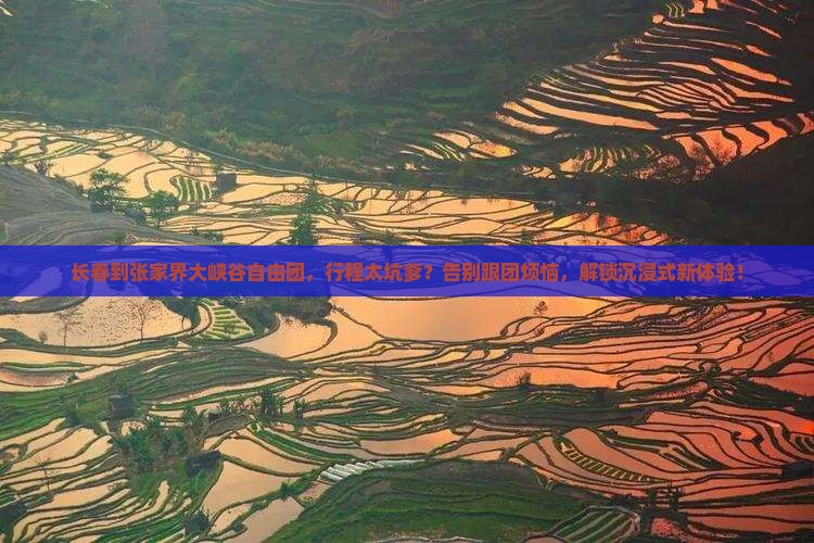 长春到张家界大峡谷自由团