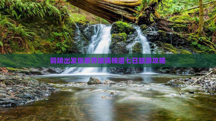 铜陵去张家界玻璃栈道七日游